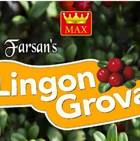 LingonGrova 600 g out of stock until October
